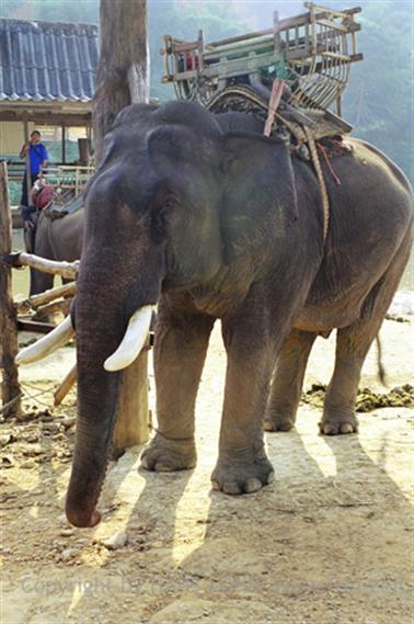 Round trip North Thailand, 2003_1274_26_CH_478